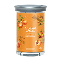 Yankee Candle Signature wax candle Cylinder Apricot, Peach, Vanilla Orange 1 pc(s)