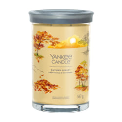 Yankee Candle Signature wax candle Cylinder CEDAR, Citrus, Sandalwood Yellow 1 pc(s)