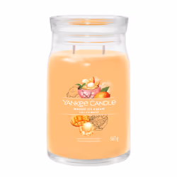 Yankee Candle Signature, Cylinder, Orange, Mango, Vanilla, 90 h, 1 pc(s)