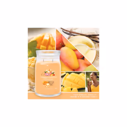 Yankee Candle Signature wax candle Cylinder Mango, Vanilla Orange 1 pc(s)
