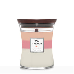 WoodWick Blooming Orchard Trilogy Medium Jar wax candle Round Orange, Pink, White 1 pc(s)