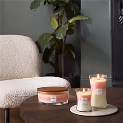 WoodWick Blooming Orchard Trilogy Medium Jar wax candle Round Orange, Pink, White 1 pc(s)