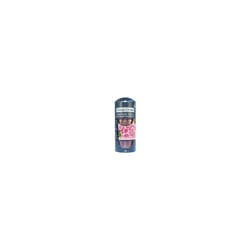 Yankee Candle - Wild Orchid ScentPlug Refills ( divokÃ¡ orchidej ) - NÃ¡plnÄ do elektrickÃ©ho strojku