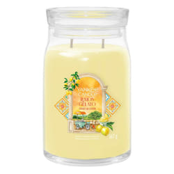 Yankee Candle Lemon Gelato wax candle Round Transparent, Yellow 1 pc(s)