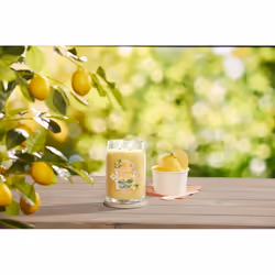 Yankee Candle Lemon Gelato wax candle Round Transparent, Yellow 1 pc(s) - Additional view 5