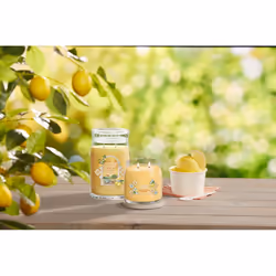 Yankee Candle Lemon Gelato wax candle Round Transparent, Yellow 1 pc(s) - Additional view 4