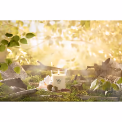 WoodWick Solar Haze wax candle Round Cream 1 pc(s)