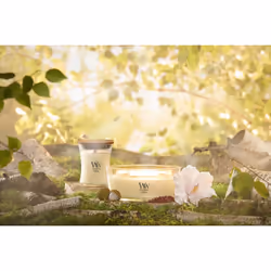 WoodWick Solar Haze wax candle Round Cream 1 pc(s)