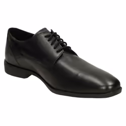 Mens Hush Puppies Smart Lace Up Shoes Ezra - Black, UK 11