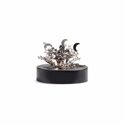 Magnetic Sculpture