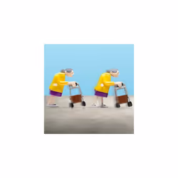 RACING GRANNIES
