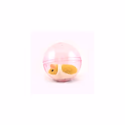 Running Hamster