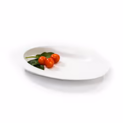 Manoy Sloped Plate - Large
