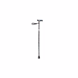 Folding Walking Stick, Wild Flower