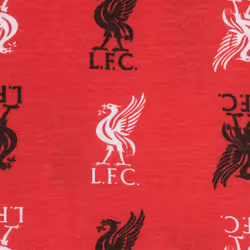 Liverpool FC Official Football Gift Boys Kids Baby Pyjamas - 3-6 Months