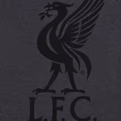 Liverpool FC Official Football Gift Mens Short Pyjamas Loungewear - Grey, XL