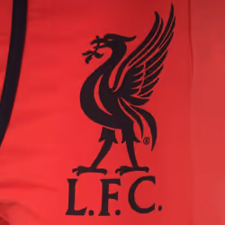 Liverpool FC Official Football Gift Mens Crest Premium Boxer Shorts - Red 1 Pack, Large