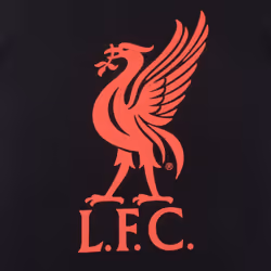 Liverpool FC Mens Pyjamas Short Loungewear OFFICIAL Football Gift - Black, Large