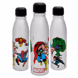 Comics Aluminum Water Bottle 600ml â Official Merchandise by Polar Gear, Kids Reusable Non Spill BPA Free Recyclable - Idea ...