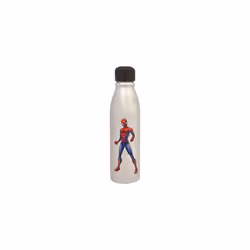 Disney 100 Aluminum Water Bottle 600ml â Official Merchandise by Polar Gear, Kids Reusable Non Spill BPA Free Recyclable - ...