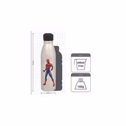 Disney 100 Aluminum Water Bottle 600ml â Official Merchandise by Polar Gear, Kids Reusable Non Spill BPA Free Recyclable - Ideal For School Nursery
