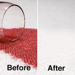 HG Stain Remover Extra Strong, Carpet Cleaner Spray & Upholstery Cleaner by HG Cleaning Products, Removes Deeply Ingrained Marks 500ml (144050106)