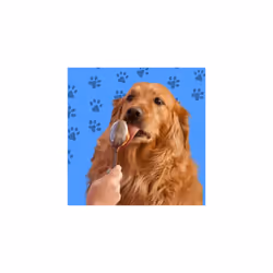 Peamutt Dog Peanut Butter | Peanut Butter Dog Treat | Formulated for Dogs | No Added Sugar and Salt | No Sweeteners | Dog Friendly Texture | Perfect