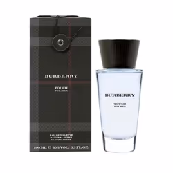 Burberry Touch for Men 3.3 oz EDT spray mens cologne 100 ml
