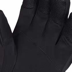 Trespass Adults Ski Gloves Waterproof Ergon II - XL, Black