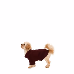 Trespass Pet Car Safety Belt Slinky - L, Merlot