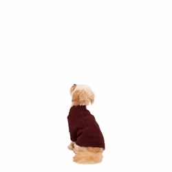 Trespass Pet Car Safety Belt Slinky - L, Merlot