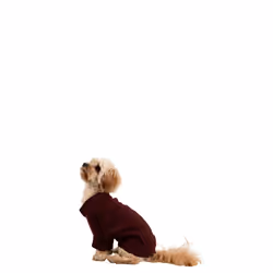Trespass Pet Car Safety Belt Slinky - XL, Merlot