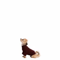 Trespass Pet Car Safety Belt Slinky - XL, Merlot