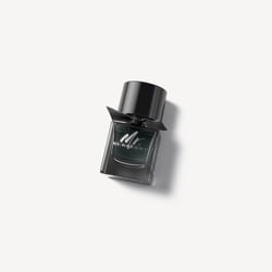 Burberry Mr. Eau de Parfum 50 ml
