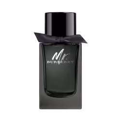 Burberry Mr. Eau de Parfum 150 ml, Men, Summer, 150 ml, Non-refillable bottle, Cinnamon, Patchouli, Tarragon, Wood, Amber, Ve ...