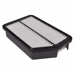 Blue Print ADG022100 air filter  - Pack of 1