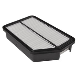Blue Print ADG022100 air filter  - Pack of 1