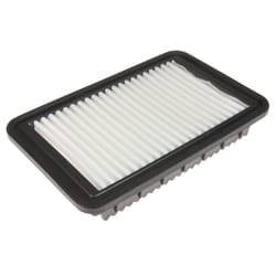 Blue Print ADG022112 air filter  - Pack of 1