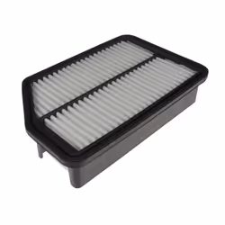 Blue Print ADG022116 air filter  - Pack of 1