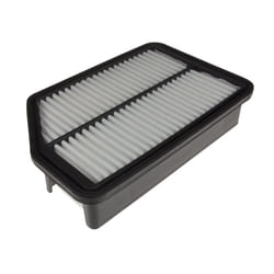 Blue Print ADG022116 air filter  - Pack of 1
