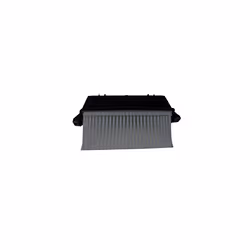 ADU172211 Air Filter, pack of one