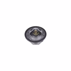 ADK89205 Thermostat, pack of one