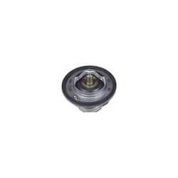 ADK89205 Thermostat, pack of one