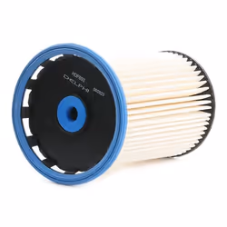 DELPHI HDF693 Fuel Filter Filter Insert VOLKSWAGEN: Touareg II, PORSCHE: Cayenne