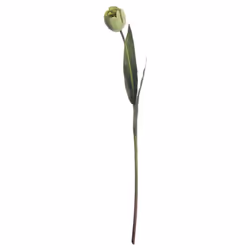 Hill Interiors Artificial Green Tulip Plant