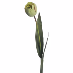 Hill Interiors Artificial Green Tulip Plant