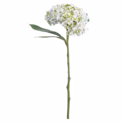 Hill Interiors Artificial Lace Cap Hydrangea Stem