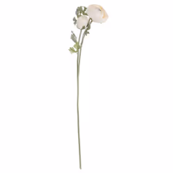Hill Interiors Artificial Single Short Stem Ranunculus - One Size, Soft Cream