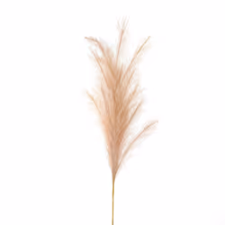 Large Faux Pampas Grass Stem