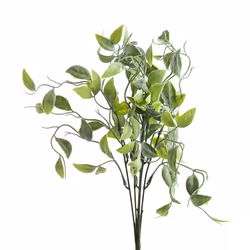 Green Shoots Greenery Bunch